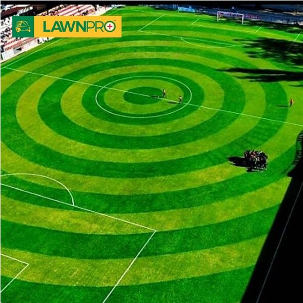 5L Lawnpro Concentrated Lawn Paint - Image 5