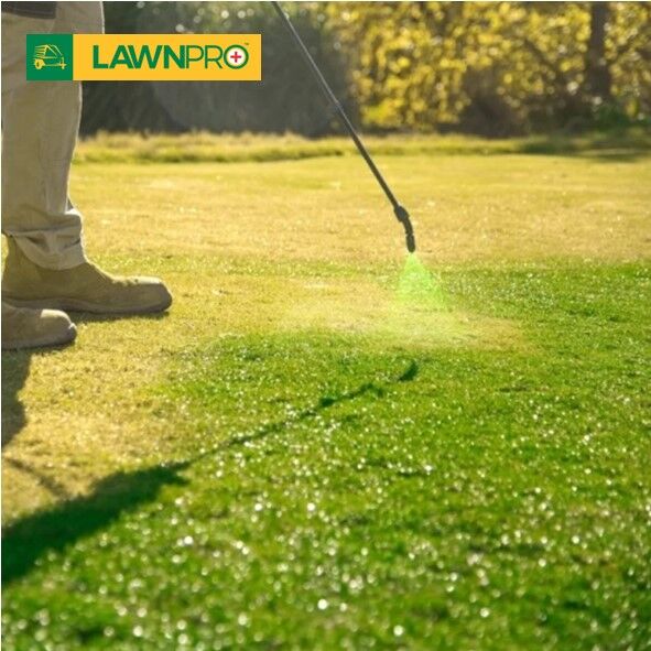5L Lawnpro Concentrated Lawn Paint - Image 4