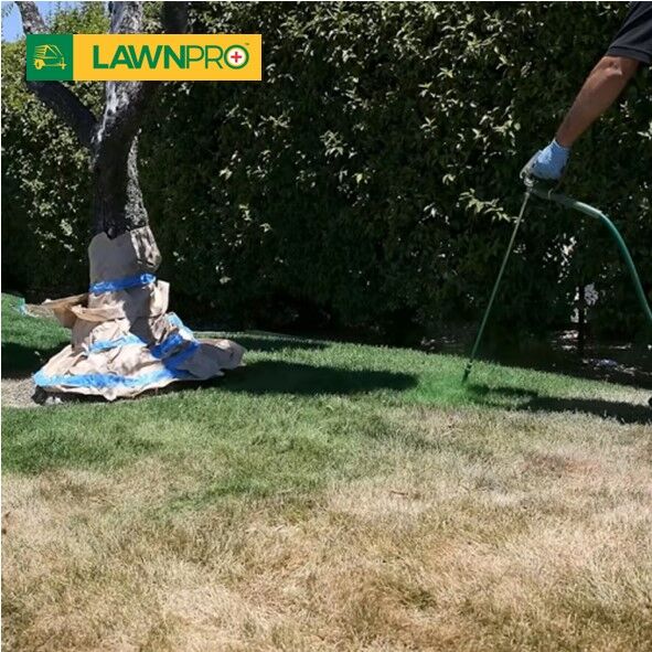 5L Lawnpro Concentrated Lawn Paint - Image 3