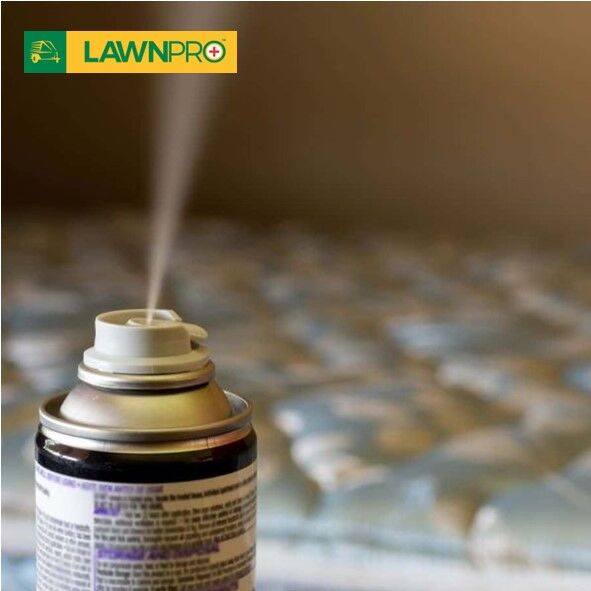 Indoor Insecticide Fogger - Image 2