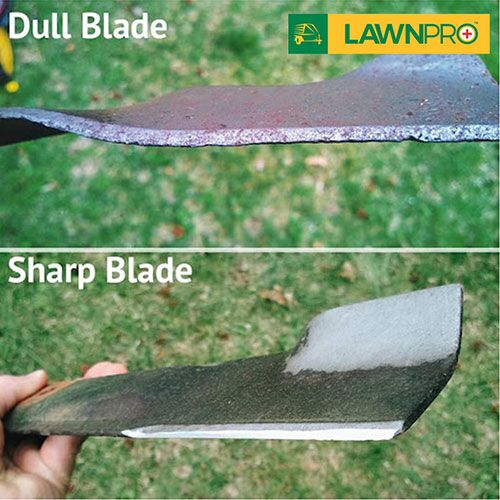 Garden tool blade sharpener